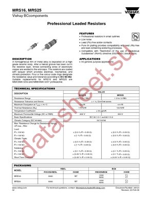 MRS25000C1100FRP00 datasheet  